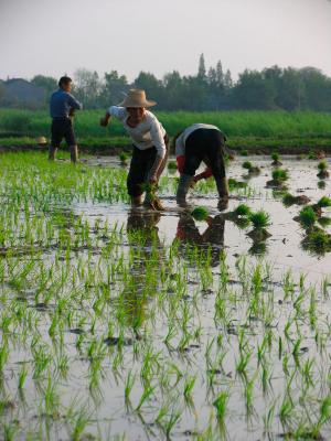 Article 9 of the new amendments to the Water Pollution Prevention and Article 9 of the new amendments to the Water Pollution Prevention and